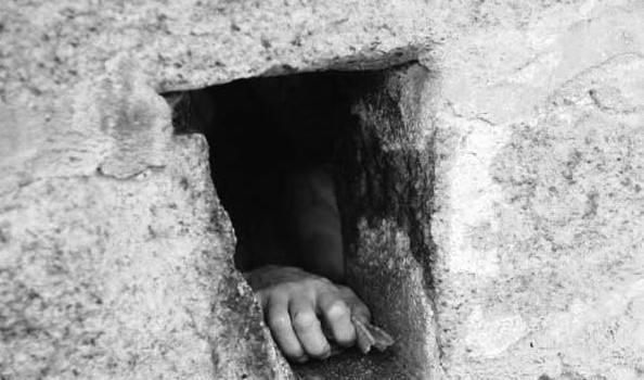  猪圈上|古代上厕所有多痛苦？一拉水花四溅，要锻炼多年才能“完美掉落”