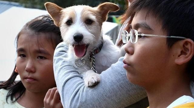  担心|狗对每个人都看得很好，他把他们都当作主人吗？别担心