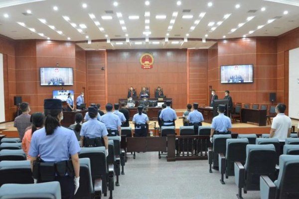 杨求金|云南怒江杨求金等13名被告人涉黑案件作出一审判决