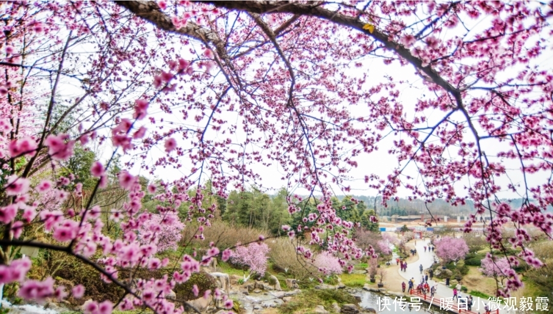  浅谈|浅谈秀丽东方IP对成都公园城市建设的借鉴作用