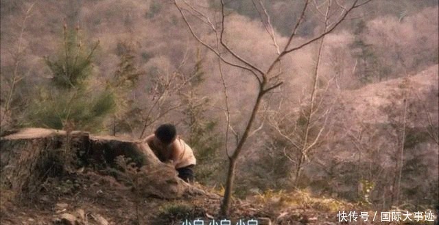 离家出走|被父母家暴后,13岁男孩离家出走到深山,一呆就是43年