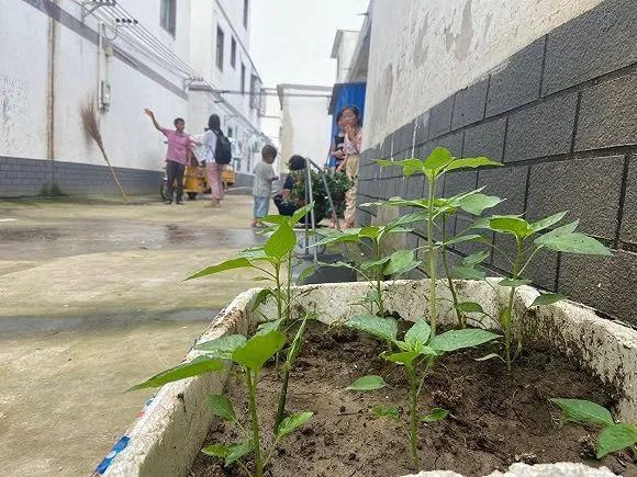 开闸蓄洪|带走与带不走的：淮河蓄洪区两千居民的撤离与留恋｜正午