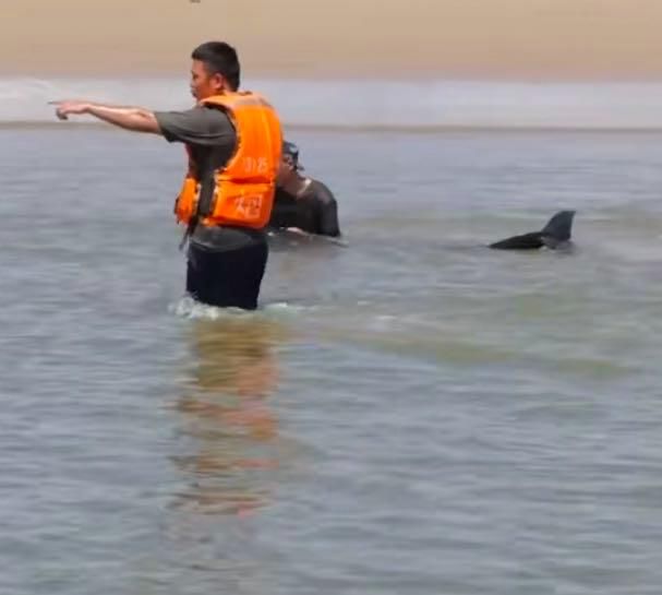  日志|突发爆炸！已致2死多伤｜新闻日志