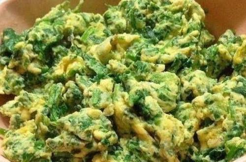 韭菜|不吃此菜太可惜,比韭菜香,比白菜鲜,营养丰富,老少皆宜