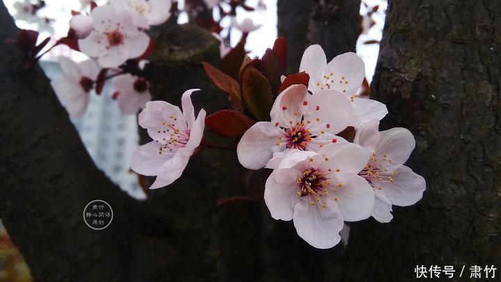 结局|很多人的爱情,都是随着毕业而终结的