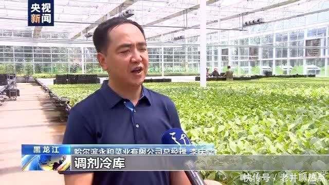 上半年|全国“菜篮子”产品供应总量充足 上半年生猪生产好于预期
