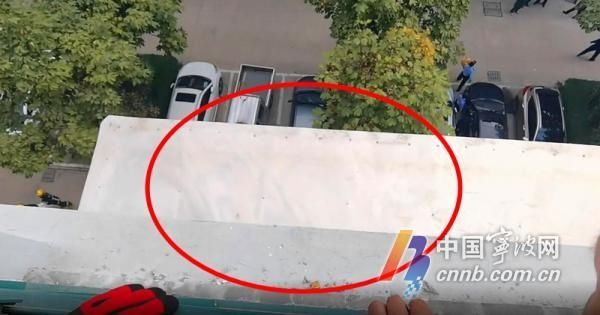 下不来|树上下不来、爬出窗外、车内被困…这3起出警都与孩子有关