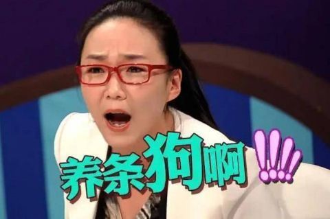 重现|奇葩说第7季低调开始线上海选,是担心翻车,还是打算重现辉煌?