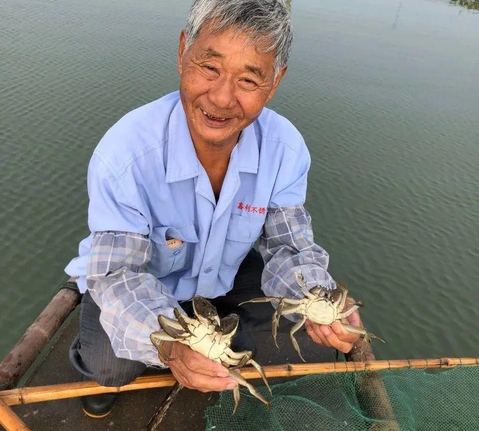 黄油|过了中秋，才是吃大闸蟹的时候？秃黄油，鲜到你灵魂颤抖