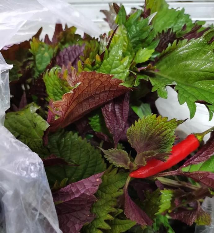 好吃|它,远比你们想象中的要好吃多多多多…了