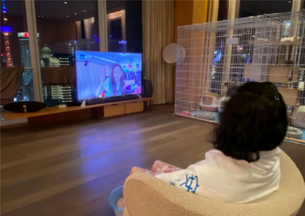  窗外|黄晓明夫妻4亿豪宅，落地窗当电视墙，窗外就是上海地标建筑