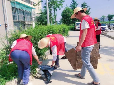 陆港|用“志愿红”点亮文明陆港底色