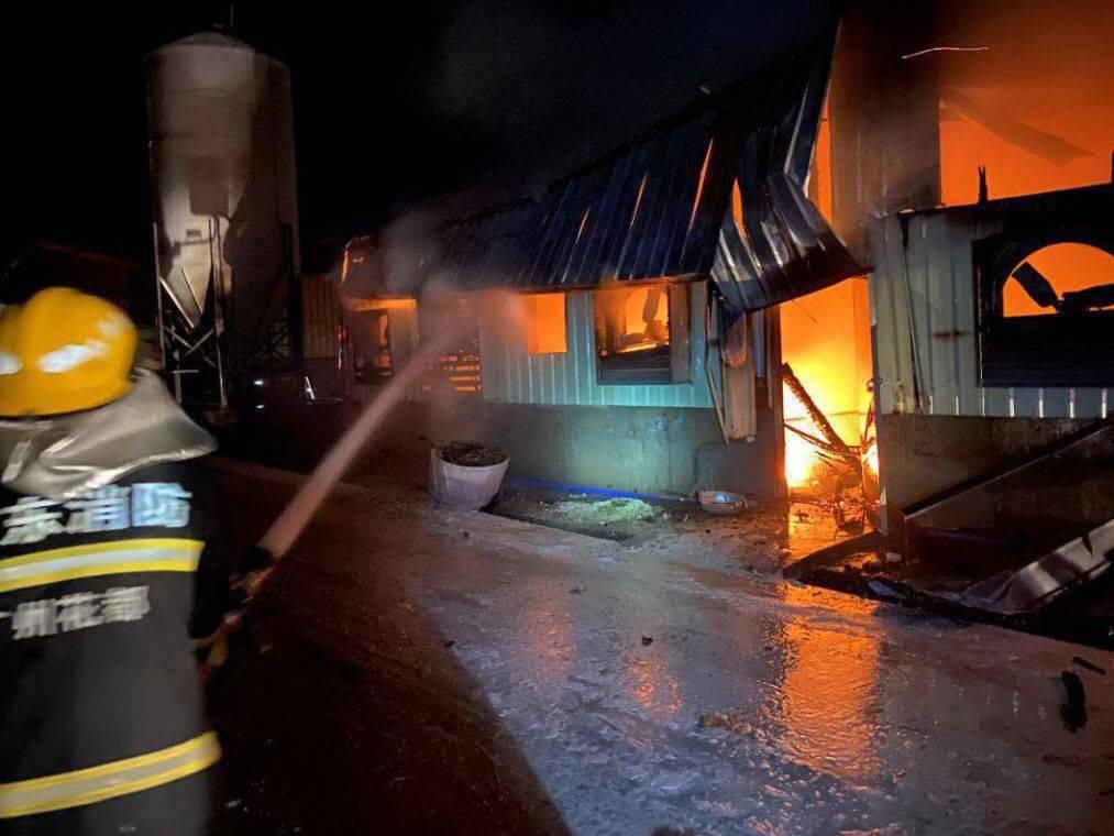  养殖户|心痛！养猪场4000只小猪葬身“火海”，网友：好可怜