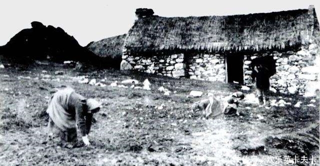 苏丹国王|十九世纪，腐烂土豆引发了一场大饥荒，100多万人被迫背井离乡