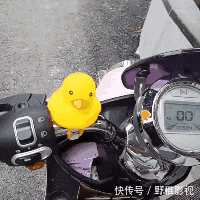 嫦娥|搞笑GIF:嫦娥姐姐是你吗?我是天蓬啊