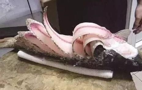 切成|日本厨师在中国厨师面前,“秀”刀功面包切成80片,被两道菜打脸