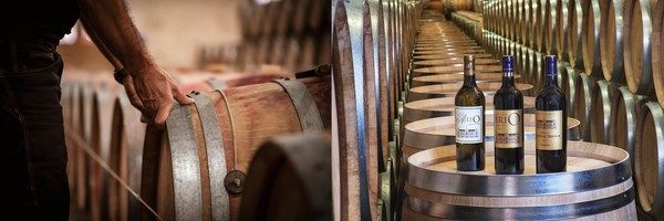 名庄|波尔多左岸玛歌产区头等苑三级名庄肯德布朗酒庄