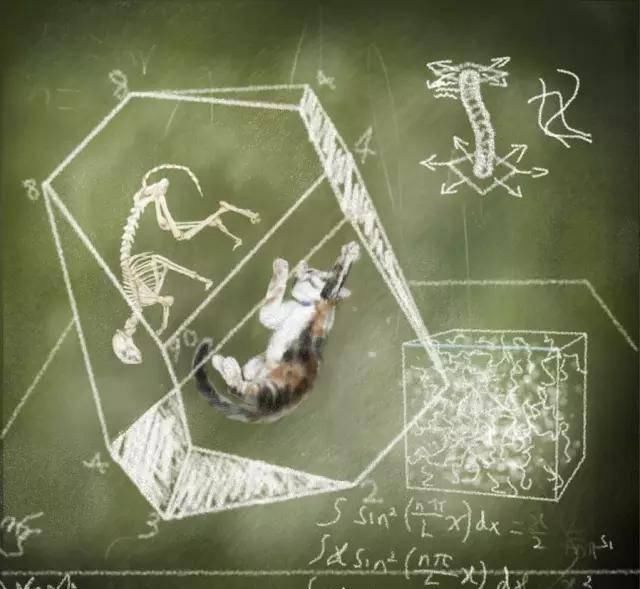 悖论|薛定谔的猫和费米悖论到底是什么?为什么科学家会如此重视