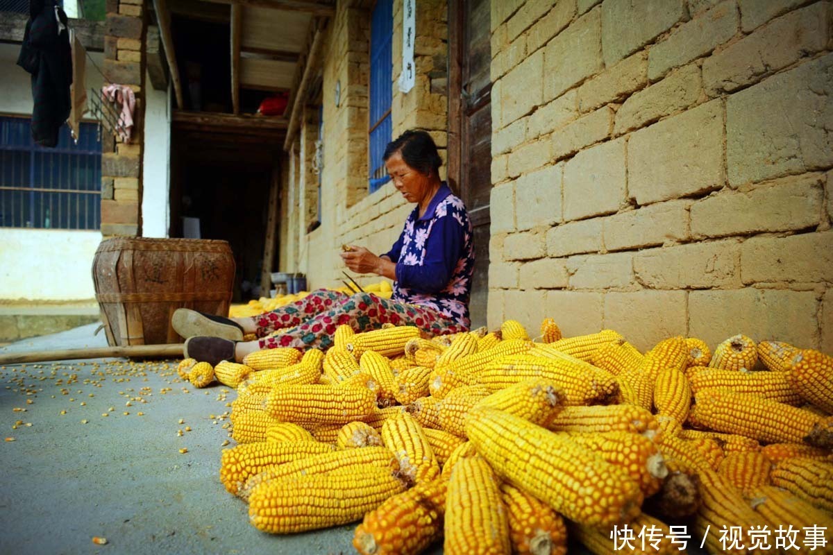 修路|古稀老人住土砖屋40年，5年建8米高石坝，三天两头“修路”