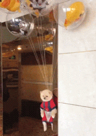  GIF|搞笑GIF：妹子你这么会玩，你男朋友知道吗？