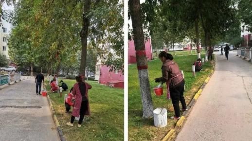 涉县|涉县“创城”的这些瞬间,你最为哪个点赞?!