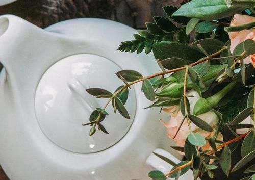 偏执|蔡澜《活着，就该尽点兴》：活得偏执，怎么会快乐