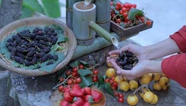 究竟|李子柒的厨艺究竟如何?看到她做的“水果雪糕”,网友:打扰了!