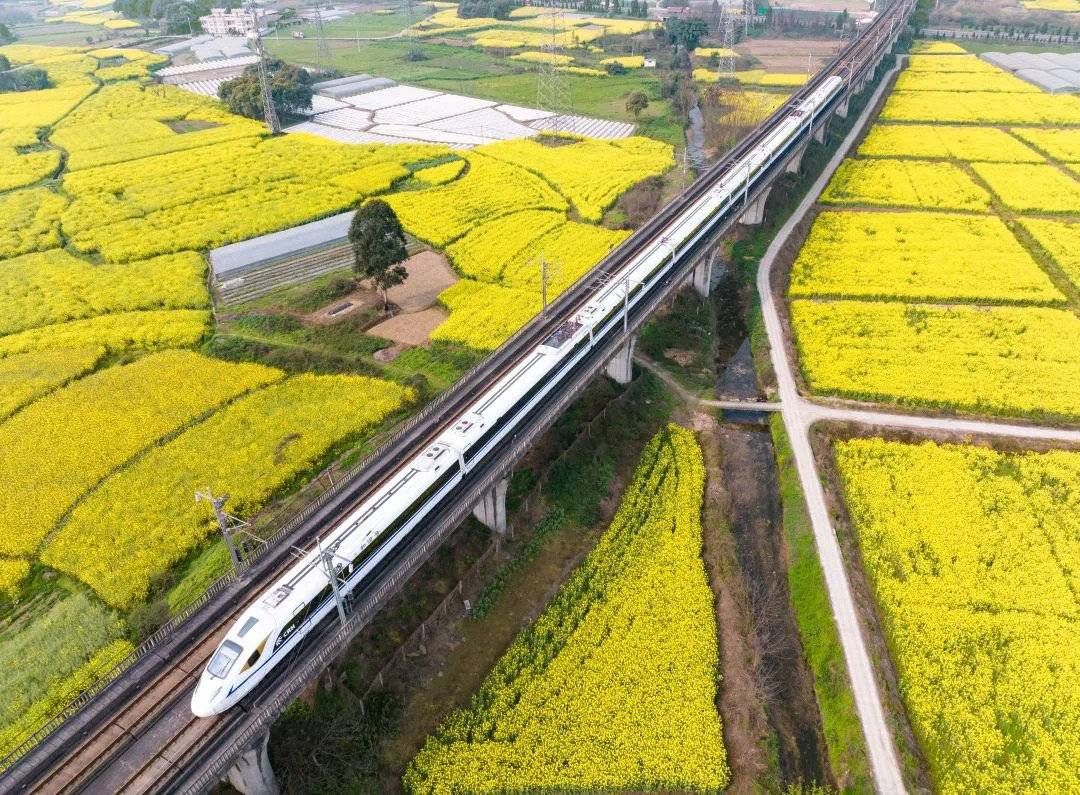 中老铁路跨境客运列车开行 成都往返老挝可以全程坐动车啦