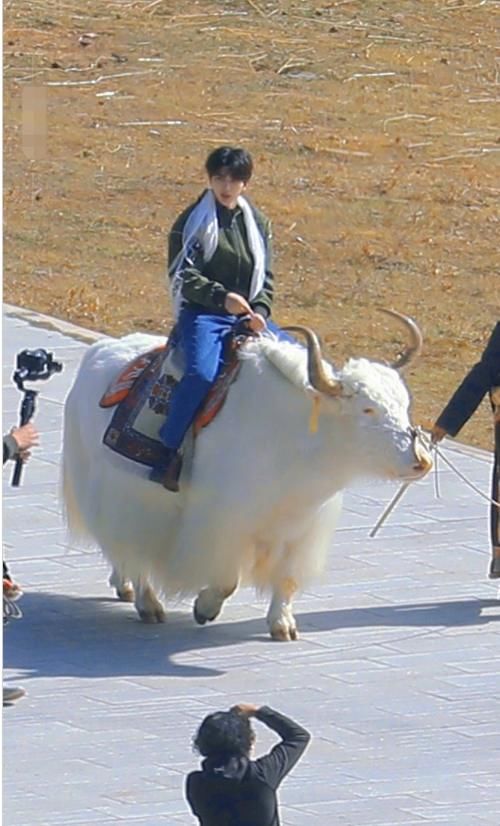  节目|蔡徐坤又被曝路透，两大男神同场他最耀眼！一看拍摄实情：站姐太拼了