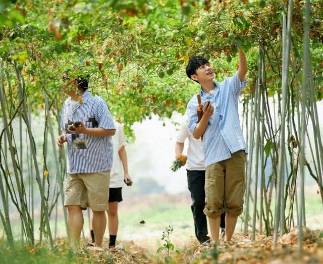  麒麟|郭麒麟叫黄磊大爷，被吐槽没礼貌，网友：黄磊比他爸大两岁