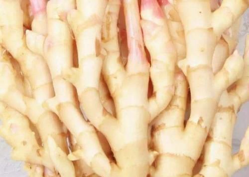  男人|男人肾脏不好，没事4物早晚换着吃，或许肾脏越来越健康！