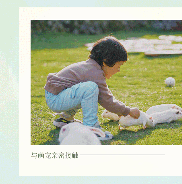 今夏|民宿福利 | 打卡今夏萤火虫最多的观赏圣地，这趟2日亲子游全！程！高！能！
