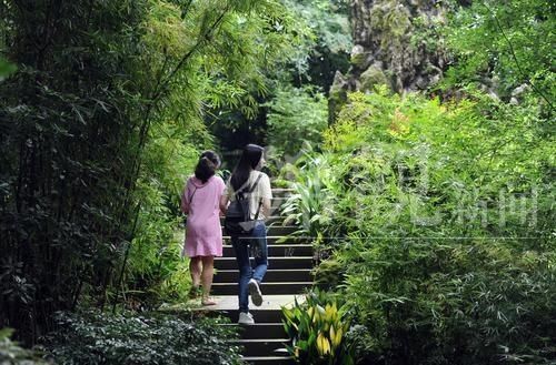  炽热|话说二十四节气 | 大暑：清心静气消暑纳凉 让我们一起经历生命最炽热的温度