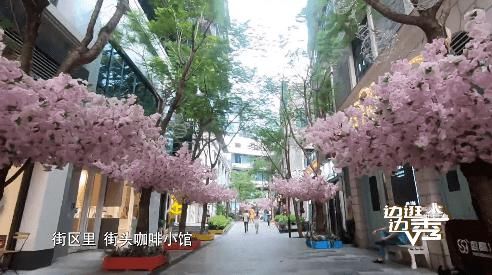  上线|老厂房里回忆童年，小弄堂中体验“上海风情”！《边逛边秀》第六期精彩上线