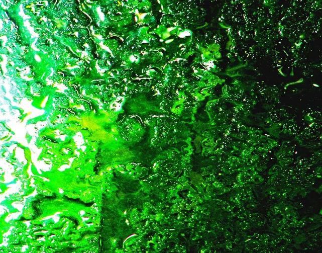  遐想|【视觉影像】津门网陈盈国：《界》遐想摄影展