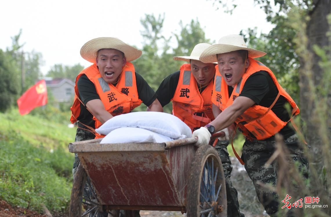 武警|安徽武警：战高温 固堤坝