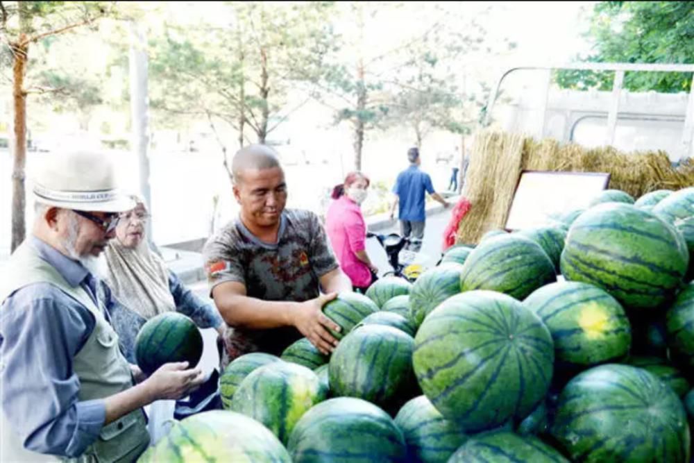 河西走廊|不想在景点人挤人？来河西走廊最美乡村体验田园生活吧