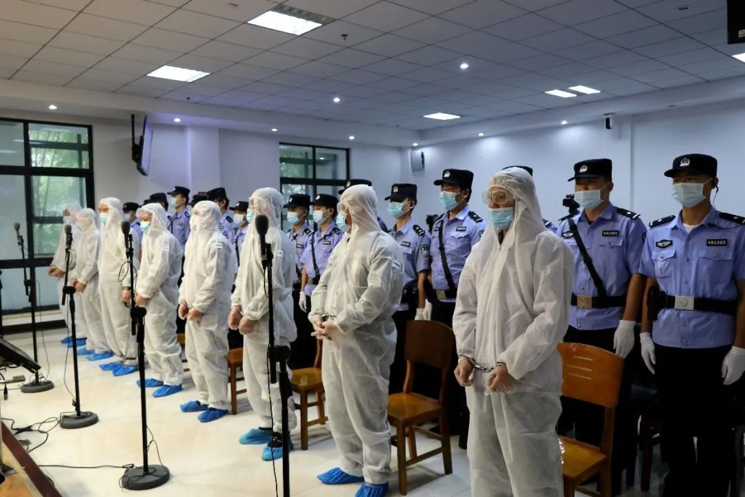 判处|最高判处二十五年,以商养黑、以黑护商,陆某兵等人一审宣判