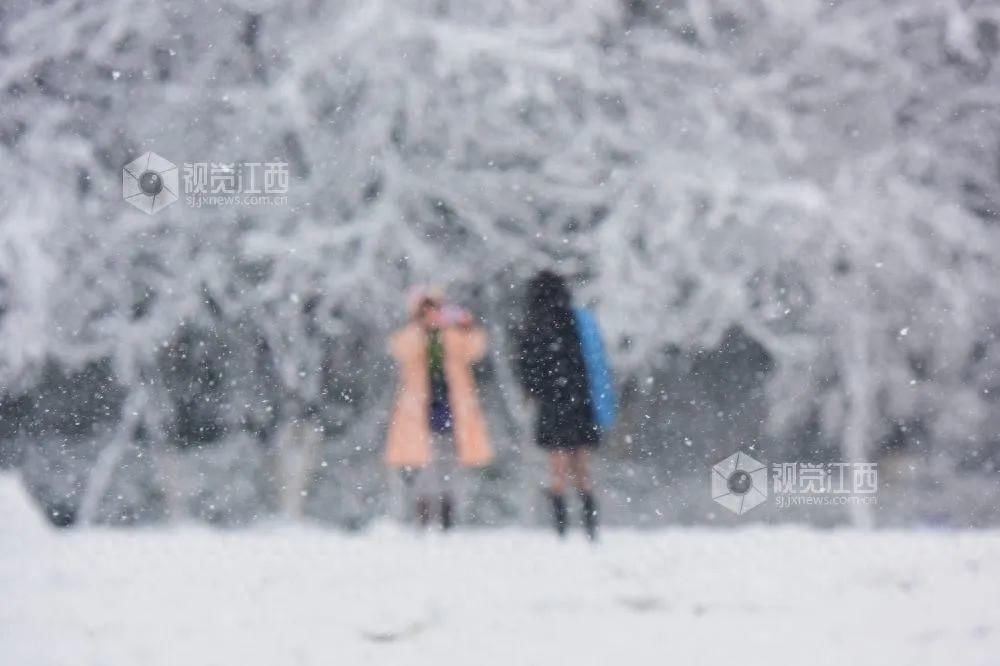 最低-6°C！江西要下雪了！未来7天有6天都在降雪