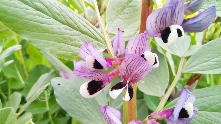 人品|做人是做事的根本，而做事能展示出人品