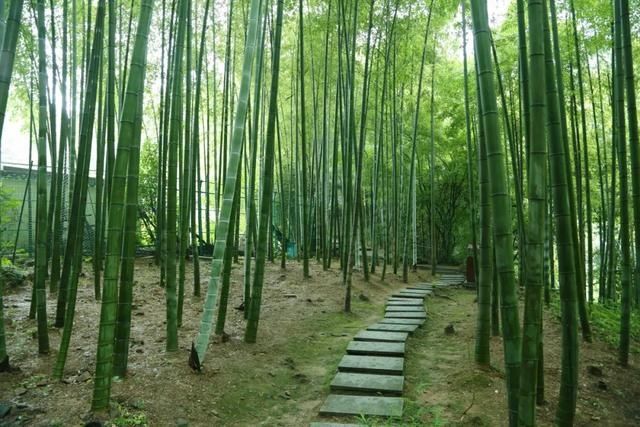  宝石山|0.5个亭子长啥样？这个夏天，西湖边这些地方不去会遗憾！