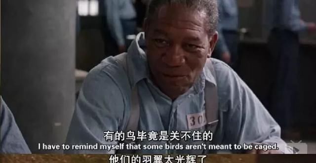 心商|这一生，比智商、情商更重要的是“心商”