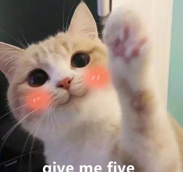  政务|何时放假？何时开学？这篇10万+推文告诉你丨政务排行榜