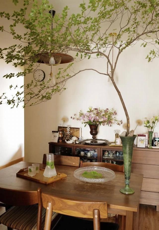  吊钟|她们的家，美得很让人种草