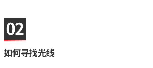  模特|【摄影讲评】顺光、侧光、逆光怎么用 第1268讲？
