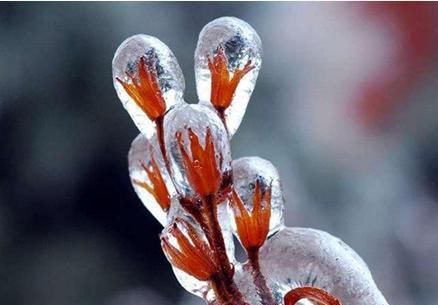  出生|哪些日子出生的人，越差的环境越是能够磨练出坚强的意志力