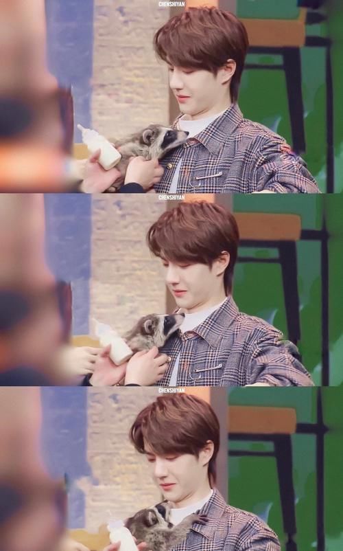  一口咬定|王一博有没有主持人证？自家粉丝一口咬定没有，搞清楚再来科普！