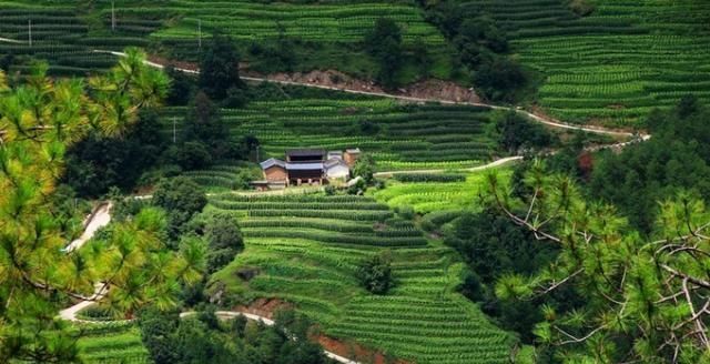 攻略|无深度不云南——丽江巴拉神山徒步穿越攻略