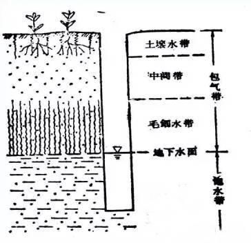 建员|一文读懂地下水 ｜ 建员讲堂