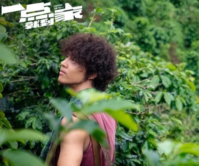 进军|《一点就到家》推迟，彭昱畅刘昊然梦幻搭档，李佳琦进军演艺圈？